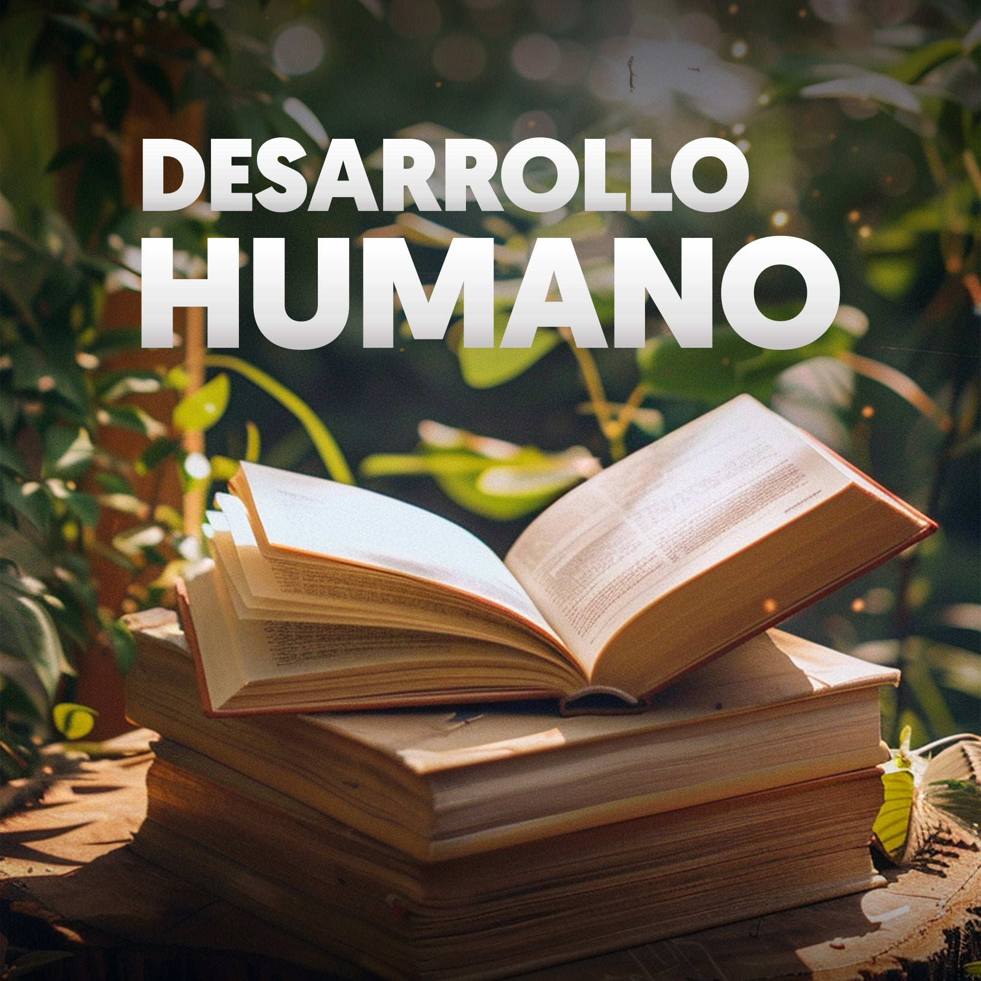 Desarrollo Humano