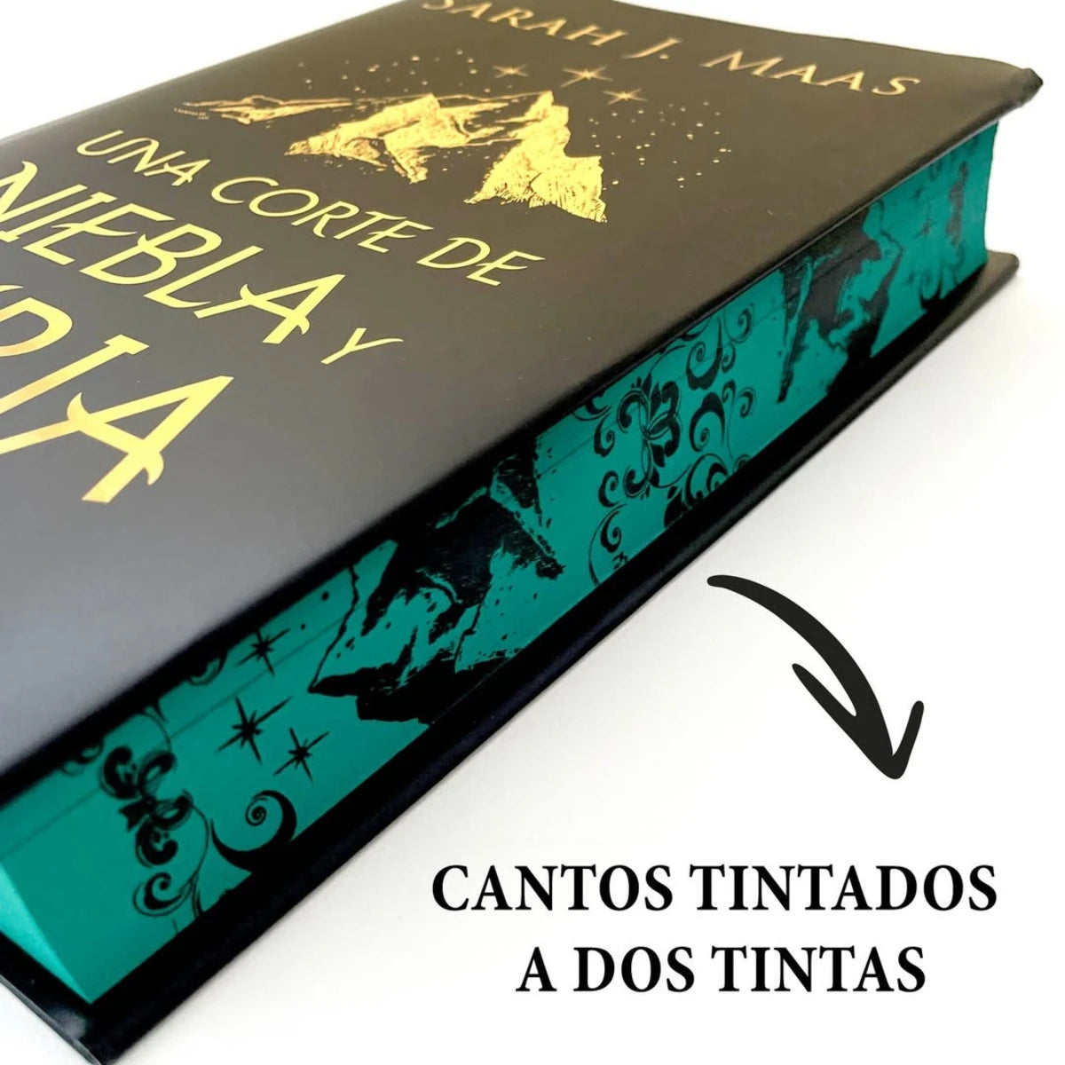 Una Corte De Niebla y Furia (Acotar 2 - Cantos Tintados)