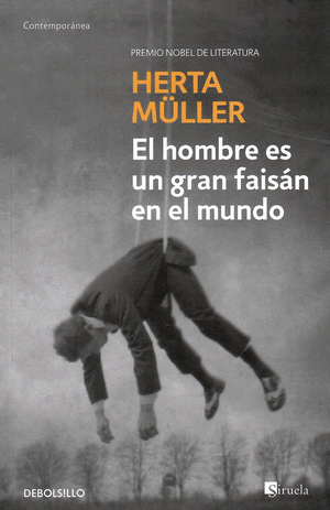 Librerías El Hombre de La Mancha Panamá