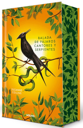Librerías El Hombre de La Mancha Panamá