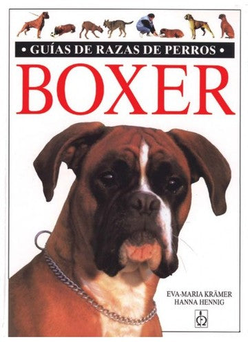 Librerías El Hombre de La Mancha Panamá