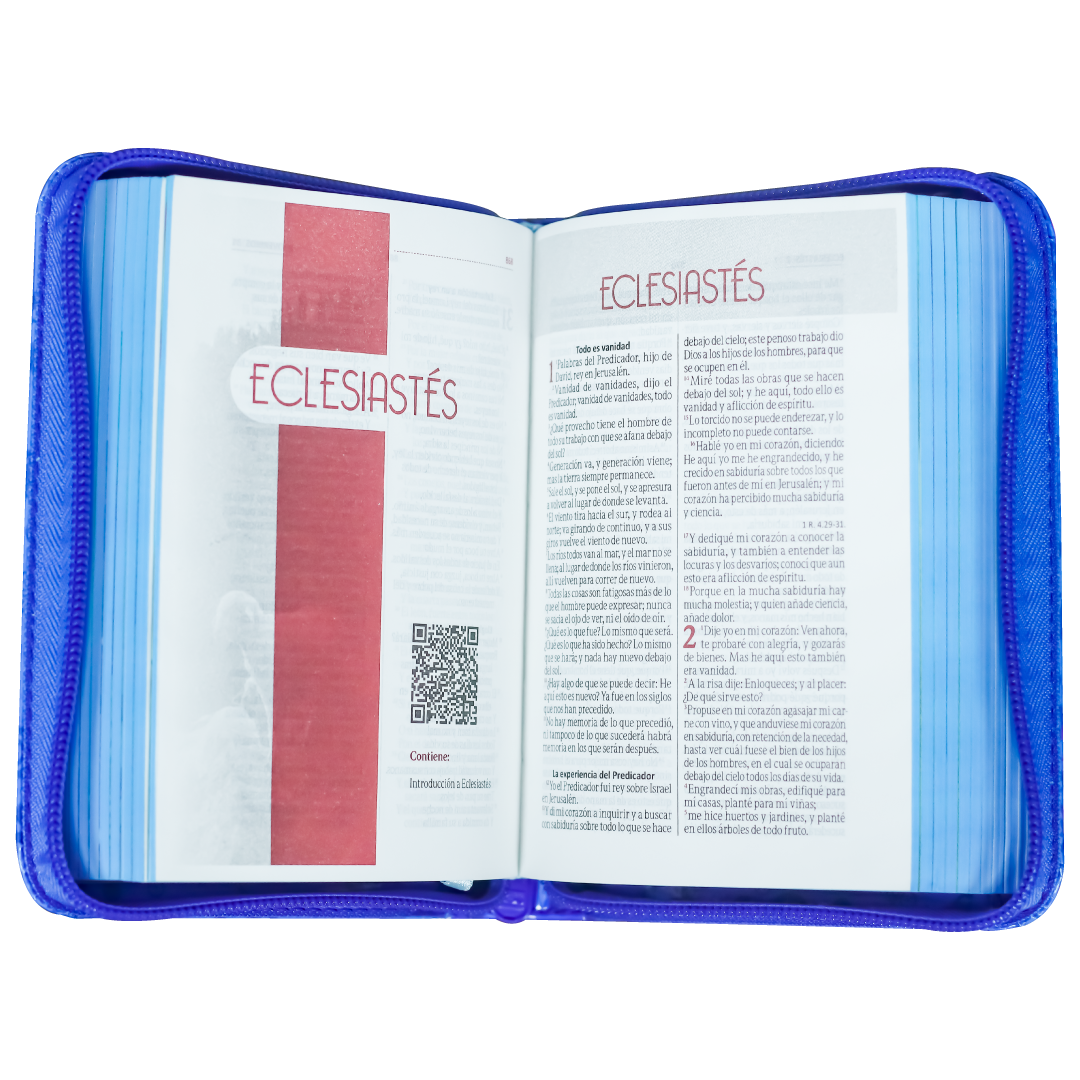 Biblia Amigos Por Siempre Azul