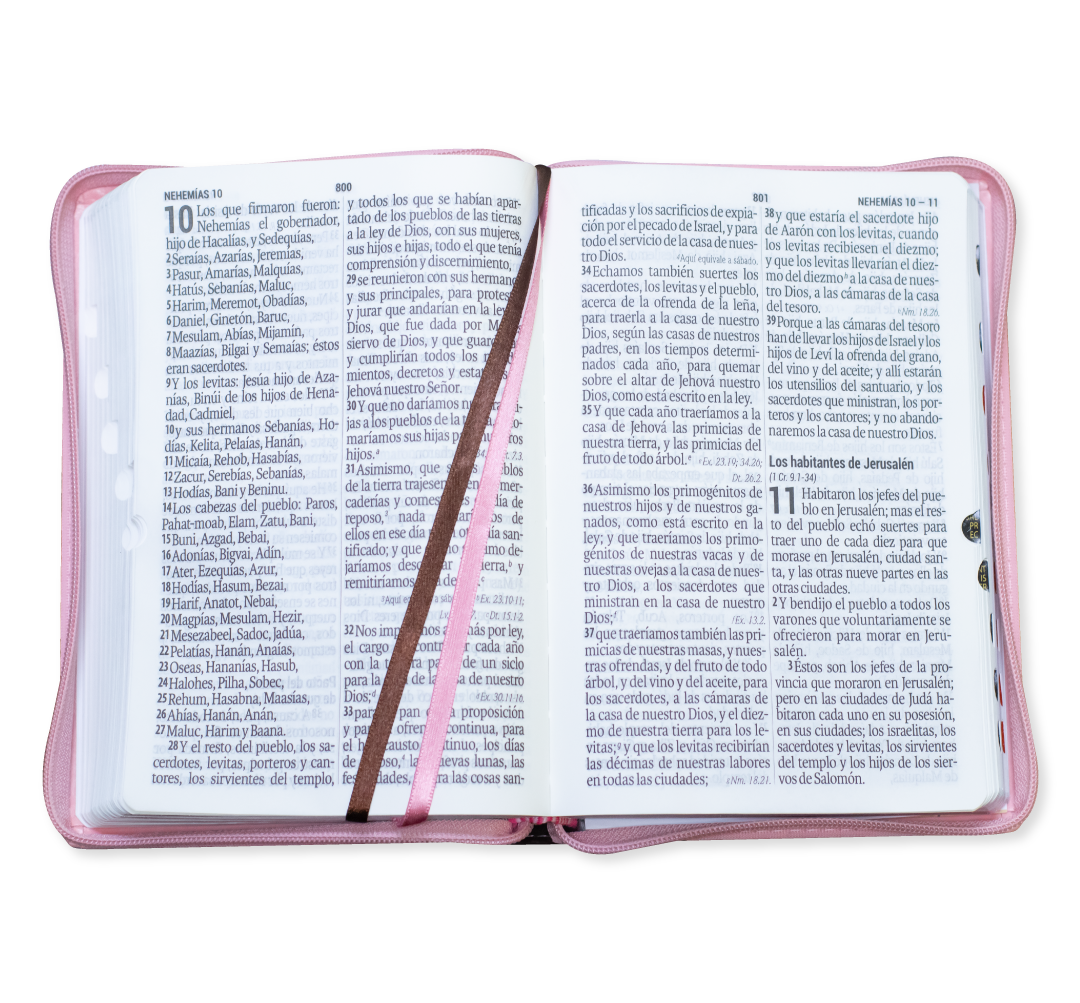 Biblia Letra Super Gigante Con Ziper
