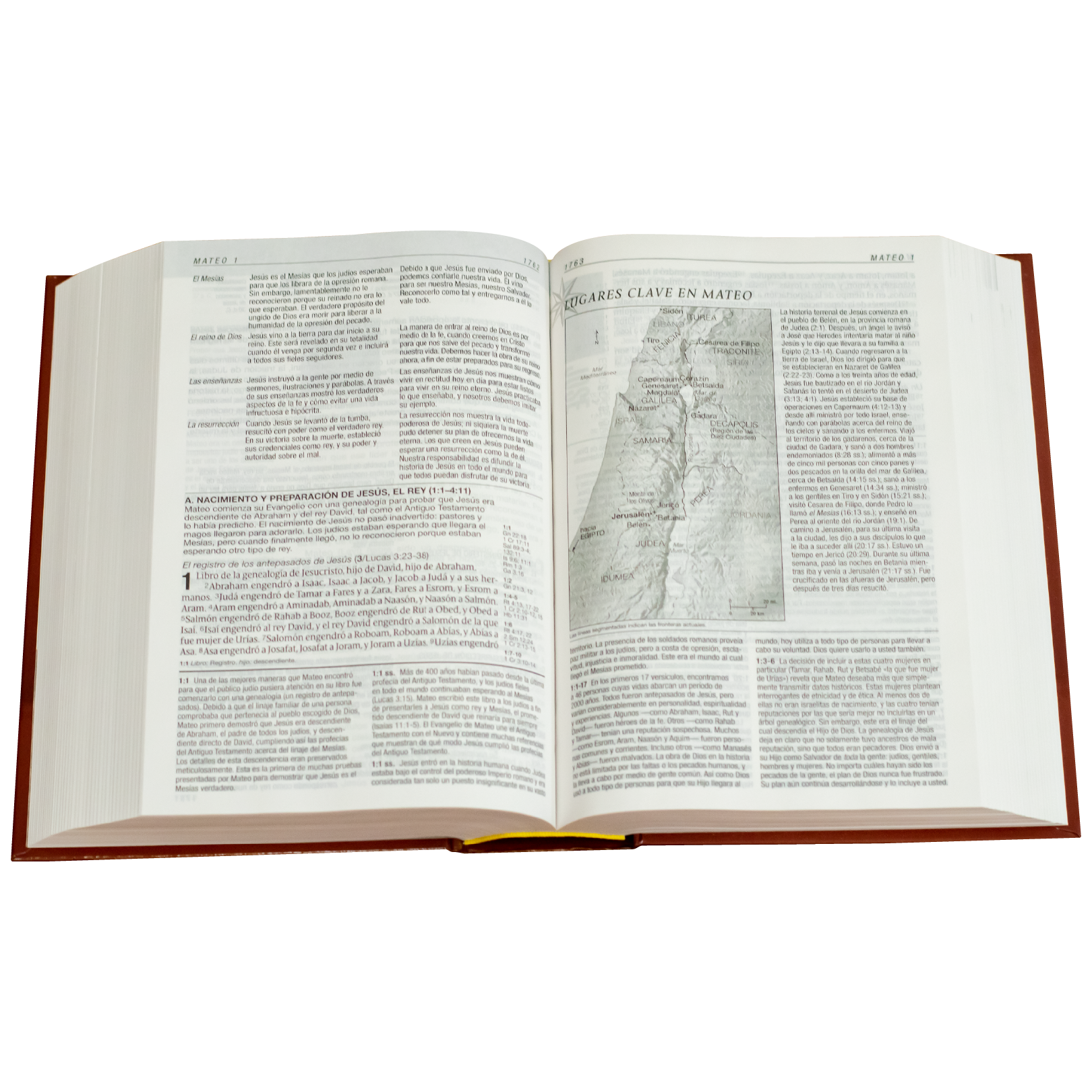 Biblia De Estudio Diario Vivir Notasde  Aplicación