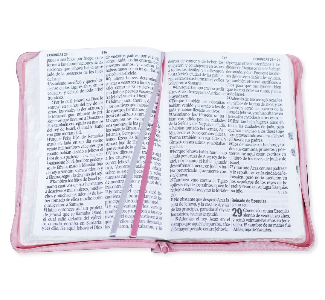 Biblia Super Gigante Letra 19