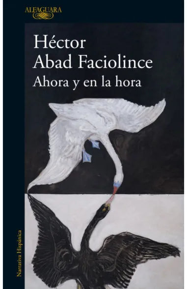 Librerías El Hombre de La Mancha Panamá