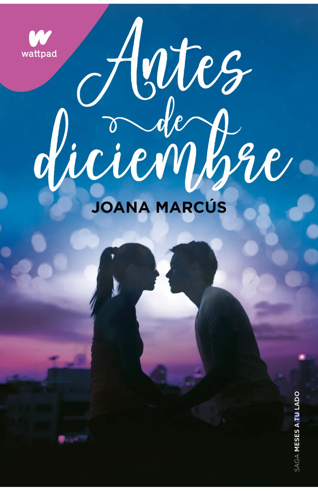 Meses A Tu Lado 1 Antes De Diciembre