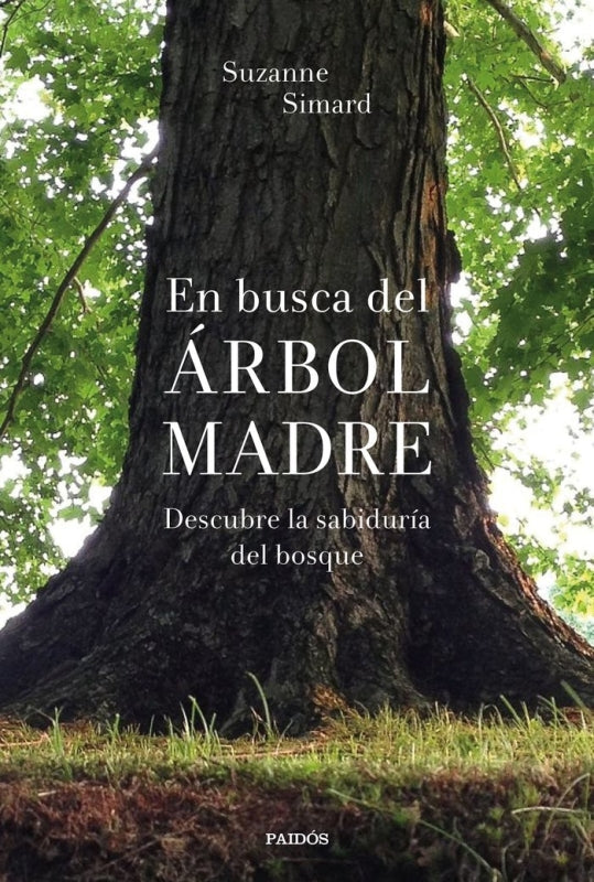 Librerías El Hombre de La Mancha Panamá
