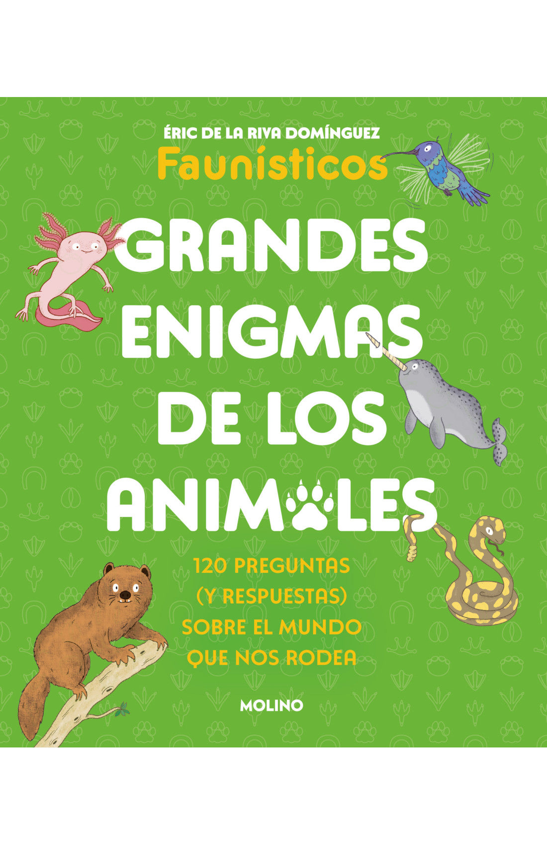 Grandes Enigmas De Los Animales