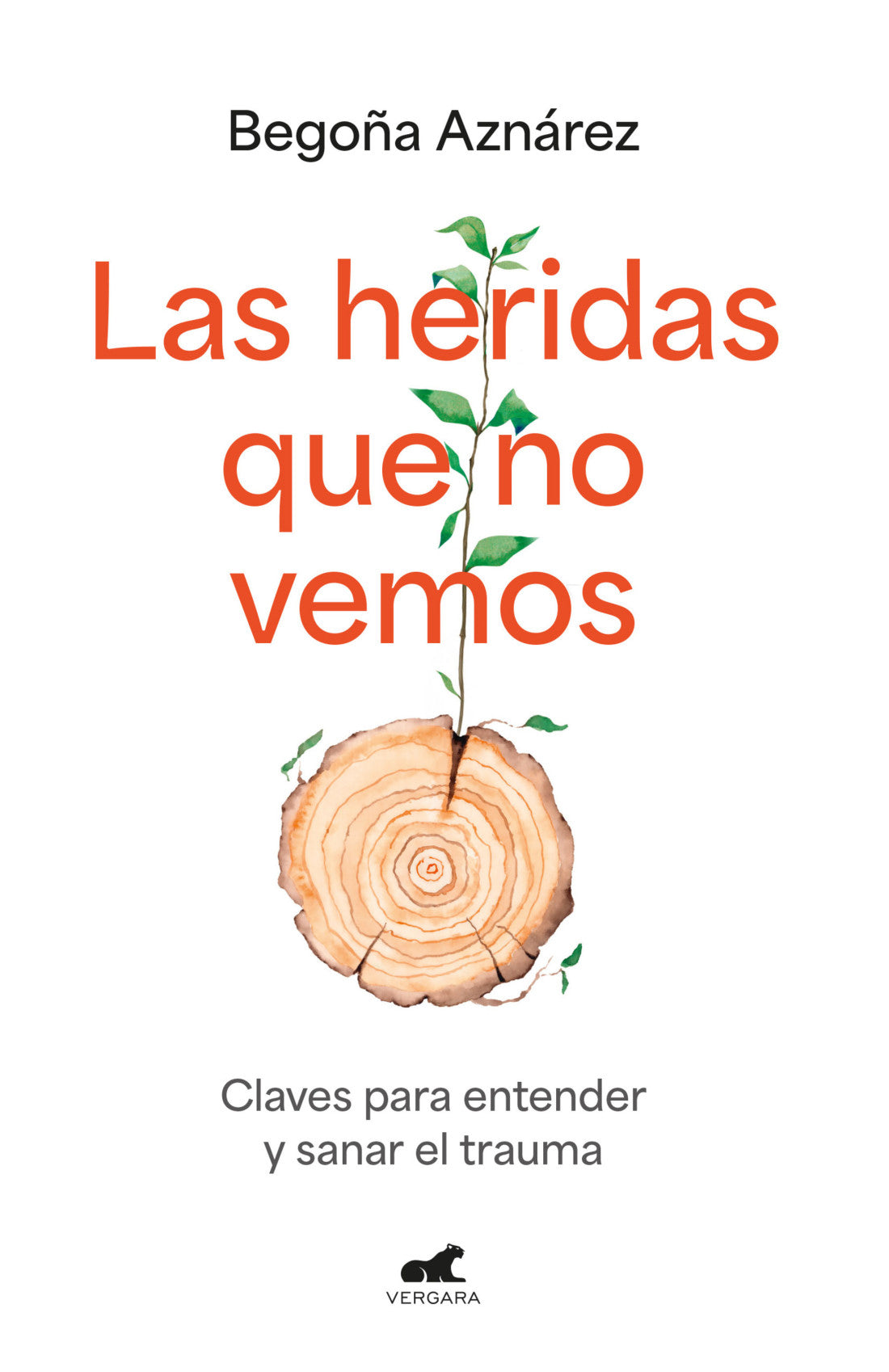 Las Heridas Que No Vemos
