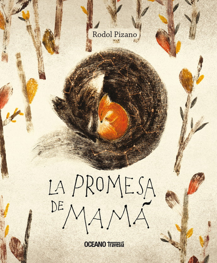 Librerías El Hombre de La Mancha Panamá